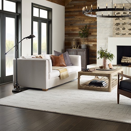 Living room area rug | Affinity Flooring Of The Desert