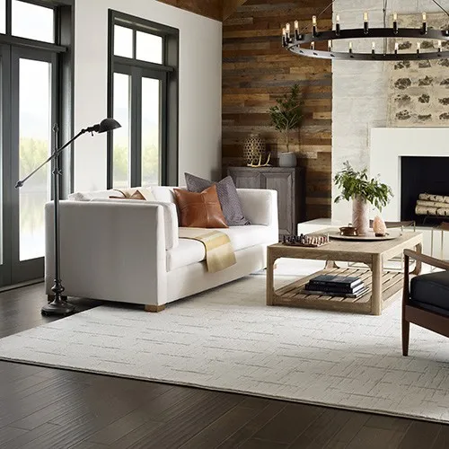 Area rug | Affinity Flooring Of The Desert